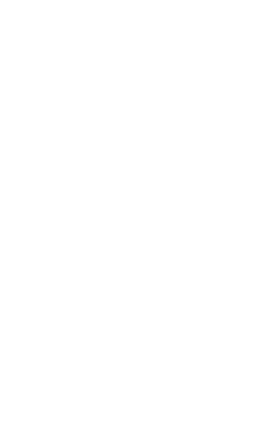 Design Element